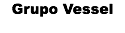 Grupo Vessel